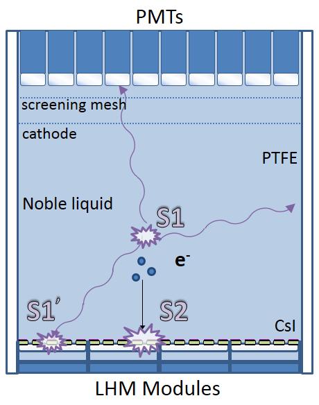 Figure 21: Conceptual scheme of a large-scale single-phase noble-liquid TPC employing CsI-coated bubble-assisted LHM modules, as in Figure 1.