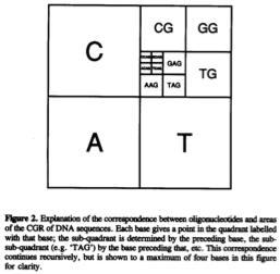 Chaos representation - upstream frequencies Source: Goldman, 1993) The chaos representation (Jeffrey, 1990) permits to visualize