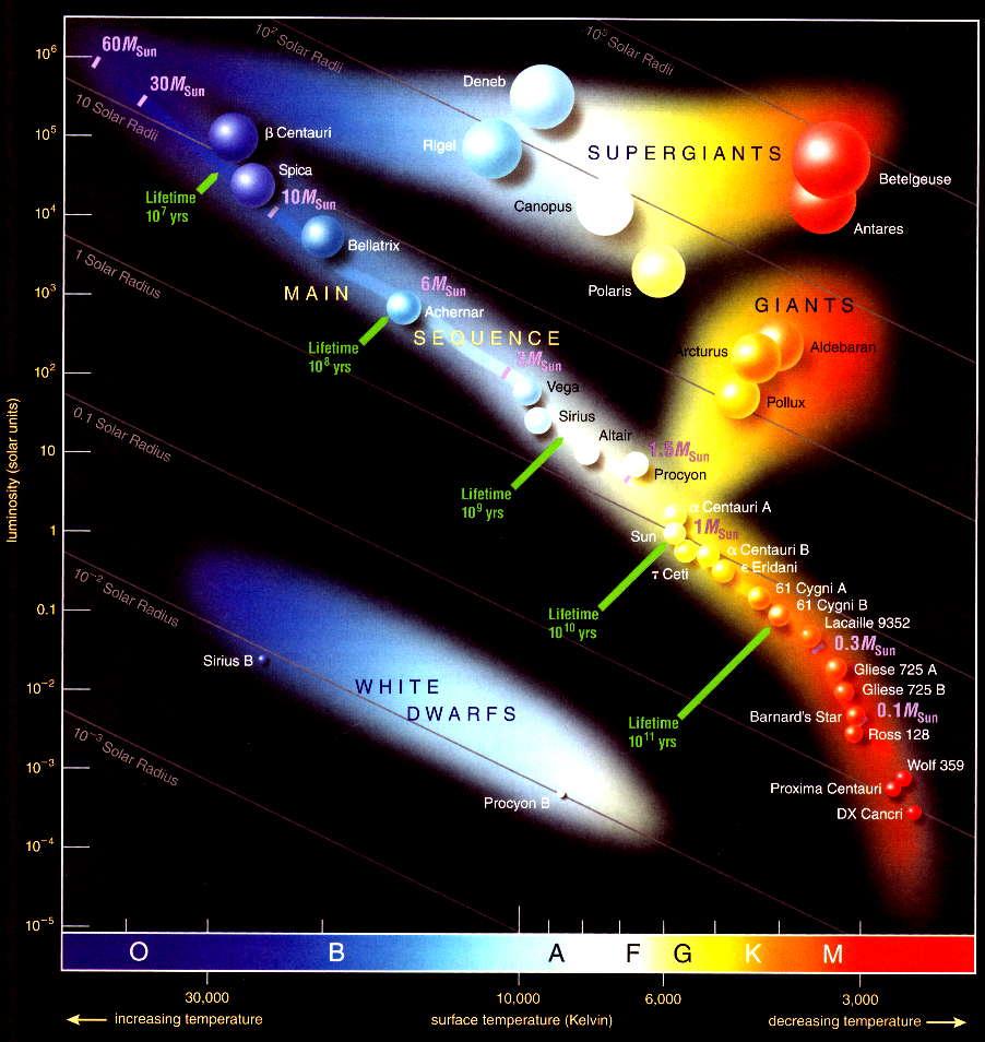 Figure 2: Hertzsprung-Russell (H-R) diagram 7. Looking just at Main Sequence, which statement best describes the trend displayed in the H-R diagram? A.