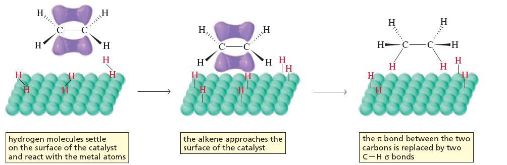 Catalytic Hydrogenation mechanism The major function of the catalyst is the