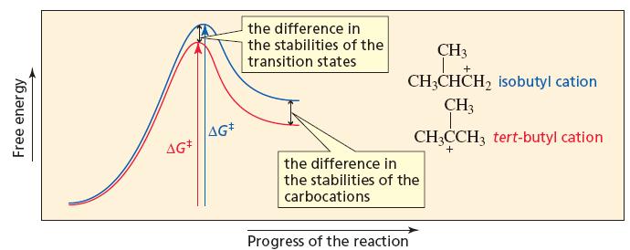 Asymmetric alkenes Is more stable carbocation also formed more rapidly?