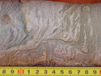 Introduction to the Songliao Basin Light olive gray 5Y 6/1, White N9 marlite; Dark gray N3, calcite layer mudstone, extrusion deformation
