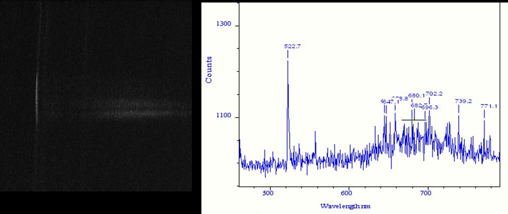 Fig. 20. Raw data from the EM-CCD camera (left) and corresponding spectrum of a 10 second exposure (right).