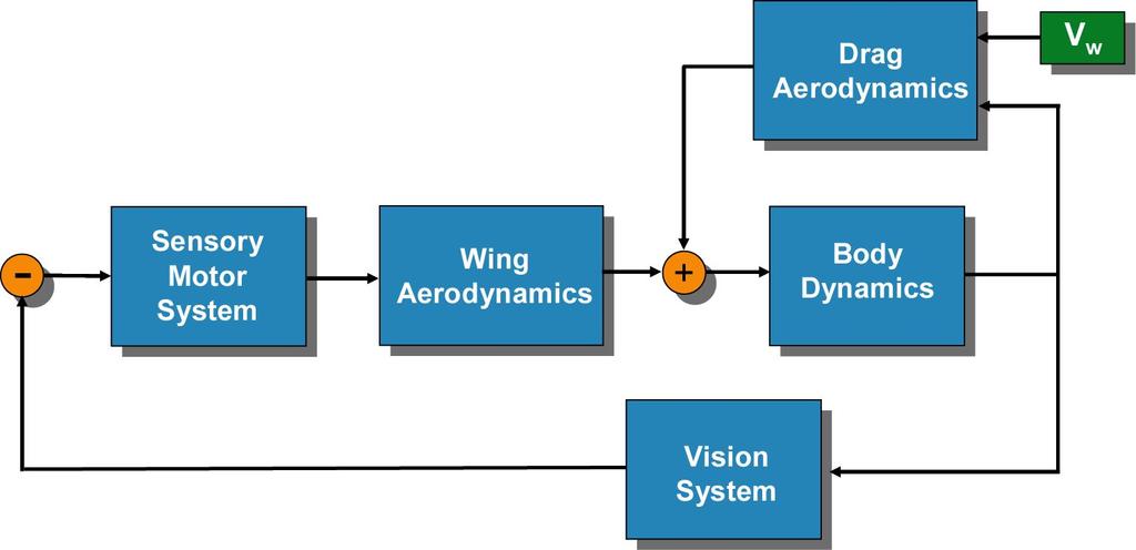 Vision as a Compensatory Mechanism for Disturbance Rejection in Upwind Flight Michael Reiser Sean Humbert Domitilla Del Vecchio Mary Dunlop Michael Dickinson Richard Murray Project results