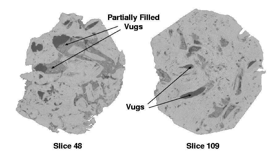 Internal Structure of the Vuggy Network CT Scans of Pipe Creek Reef sample