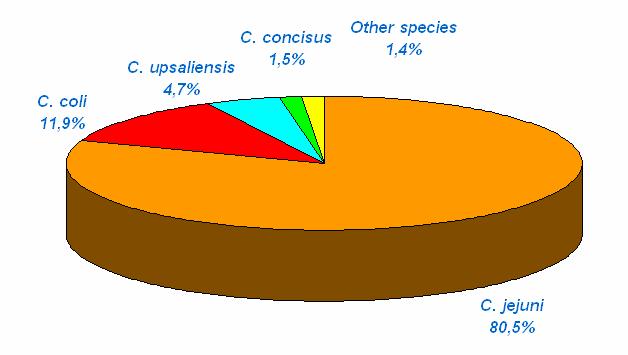 Distribution of Campylobacter species from patients