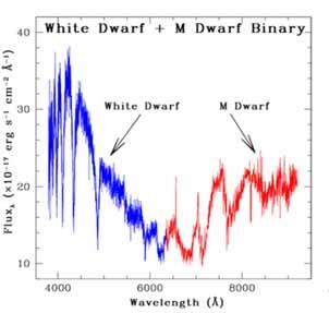 Stellar physics MOS Binaries: what is the fraction of Mdwarf WhiteDwarf binaries? Is there a clue to the apparent deficit of isolated WD in cluster populations?