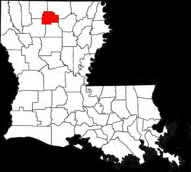 North Central Louisiana Parish 472 Square Miles Population: 42,000 Ruston: