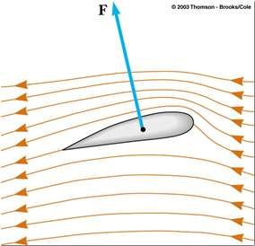 Applications of Bernoulli s Equation Venturi