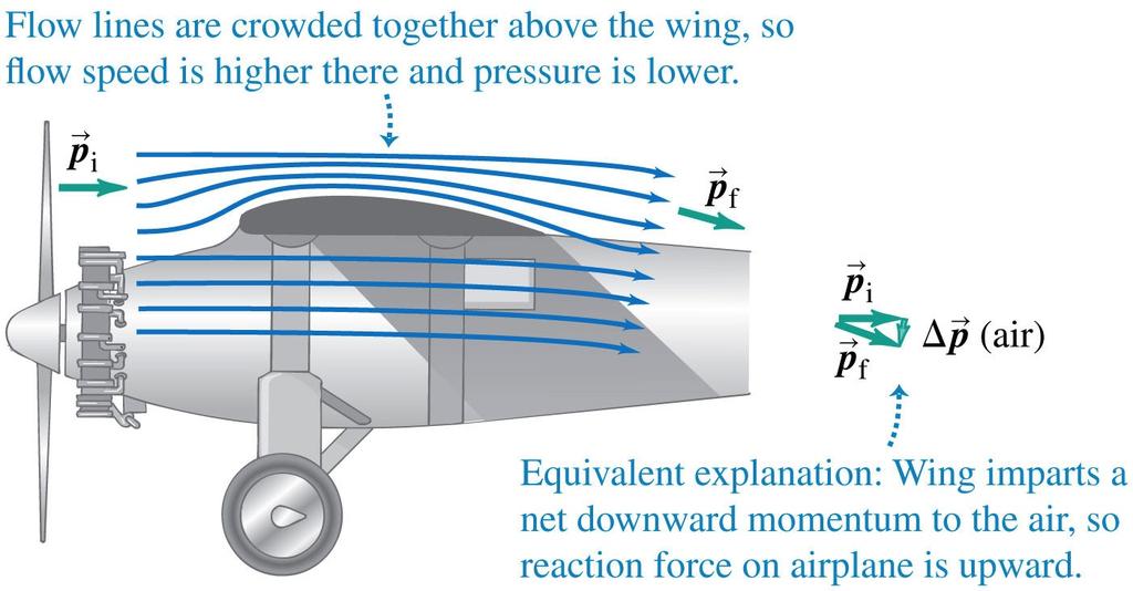 Lift on an airplane wing Bernoulli s principle helps to explain how airplanes