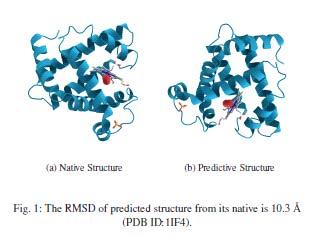 Comparative Study of Machine Learning Models in Protein Structure Prediction *Sonal Mishra 1, *Anamika Ahirwar 2 * 1 Computer Science and Engineering Department, Maharana Pratap College of technology