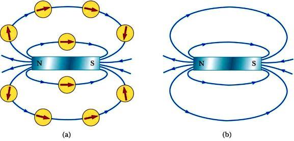 Magnetic field lines can be used to show how the field lines, as traced out by a compass, would look A compass can be used to show the direction of