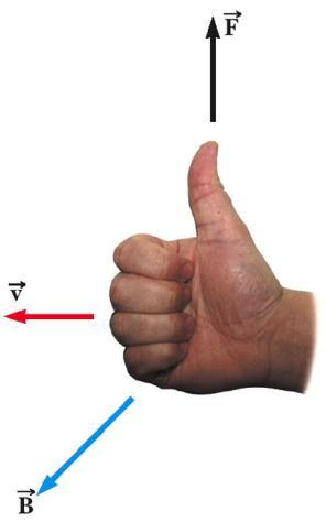 charge If the charge is negative, the force is opposite that determined by the right hand rule Magnetic Force on a Current Carrying Conductor A force is exerted on a current-carrying wire placed in a