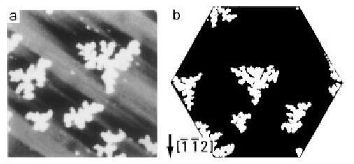 Island Shape At low T (slow diffusion), you can get what are called ramified islands: Adatoms stick at islands. Fractal shape. E.g. this is experimental image of Pt on Pt (111): https://journals.