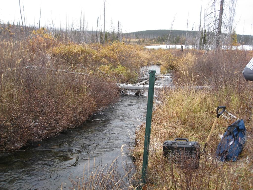 STATION S2 Date: Oct 07, 2011 *Looking downstream Location Station S2 is located at the exit of Rose Lake and just upstream of Narrow Lake (approximately 150 m upstream).