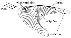 On the shape of barchan dunes 2 longitudinal slice brink wind L transverse slice W H w slipface wind L e H e separation bubble horns a) b) Figure 1.