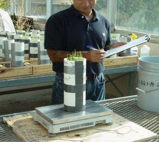 Texas A&M Greenhouses Weighing column to