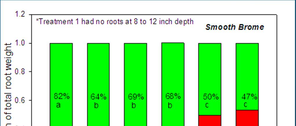 Rooting Depths T1 = cover soil-untreated sediments T2 =