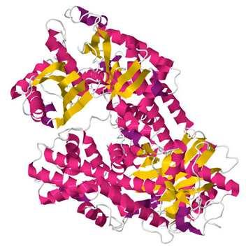 Hexokinase Phosphoglucose isomerase Enzymes Some reactions do not (hardly) occur