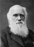 Charles Darwin February 12,1809 April 19,1882 Naturalist Deeply