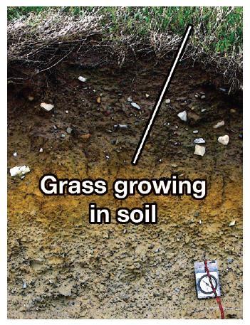 23.1 Soil results from weathering * In time, sediment combines with organic matter, making a rich