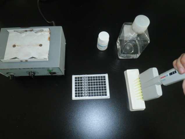 ELISA Kit for Detection of
