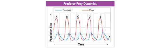 Predators can affect the size of prey populations in a community and determine the places