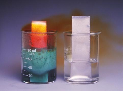 Sample A burned when held in a flame. 4. A science class did an experiment in which two substances were mixed.