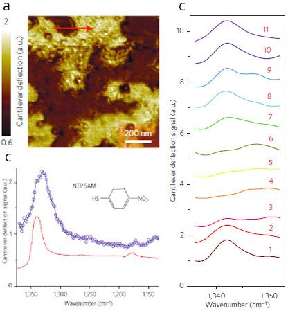 Measuring monolayers Self-assembled monolayers (SAMs) of 4-nitrothiophenol (NTP) and a monolayer island sample of poly(ethylene glycol) methyl ether thiol (PEG) were deposited on template-stripped