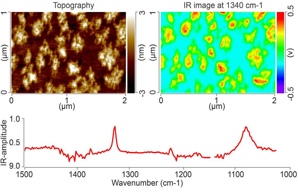 AFM-IR spectra and molecular structures of NTP SAMs on gold (in blue) as shown in figure 3.