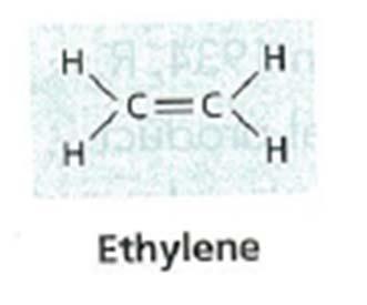 Structure, Biosynthesis, and Measurement of Ethylene Structure: the simplest olefin ( 石蠟 ), Mr=28 Biosynthesis: almost
