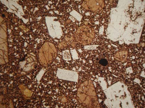 Example 2: Seriate textured olivine basalt under crossed polarized