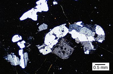 Note the acicular, white plagioclase laths throughout and the euhedral, white olivine phenocryst at the