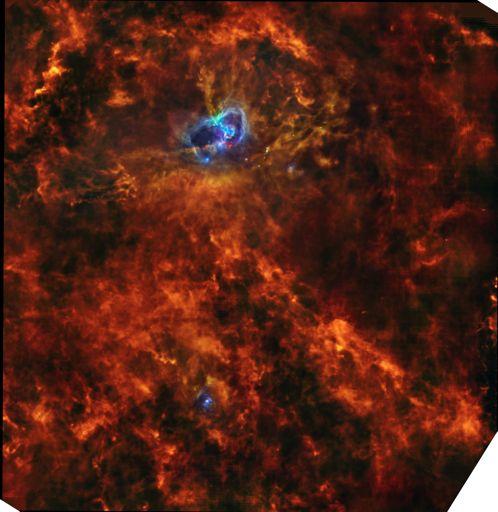 Herschel shows a universal filamentary structure in the cold ISM Aquila: Actively star forming d ~ 260 pc
