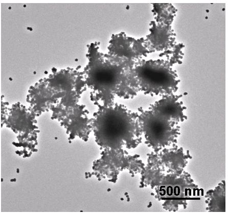 Supplementary Figure S15 TEM image of Pt NPs synthesized by photochemical reduction of K 2