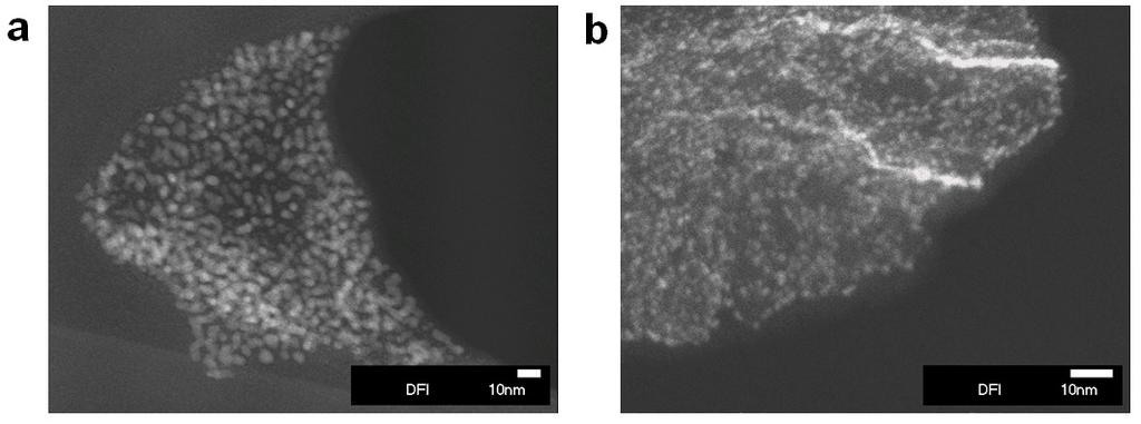 Supplementary Figure S2 High angle annular dark field scanning transmission electron microscopy (HAADF STEM) images of synthesized hybrid materials.