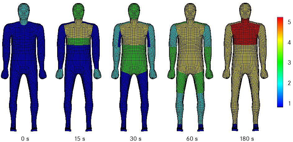 4 Simulation 22 were evaluated as warm but comfortable after 180 seconds. An exception are the feet, which were evaluated as too cold during the whole time. Fig.