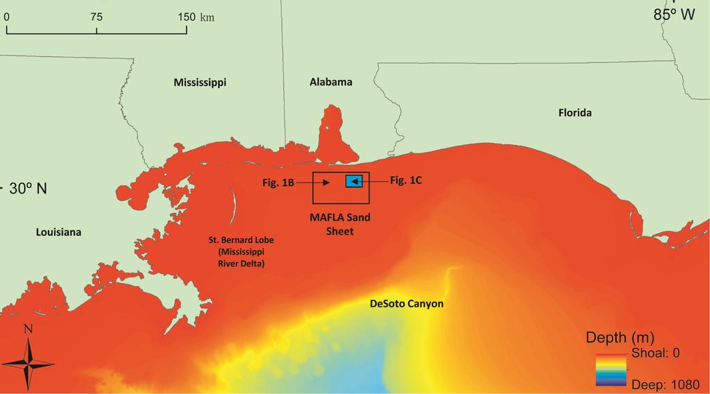 sand sheet Subdivided into two subprovinces: the Mobile and the Apalachicola Northwest-southeast trending ridges and troughs From recent geophysical