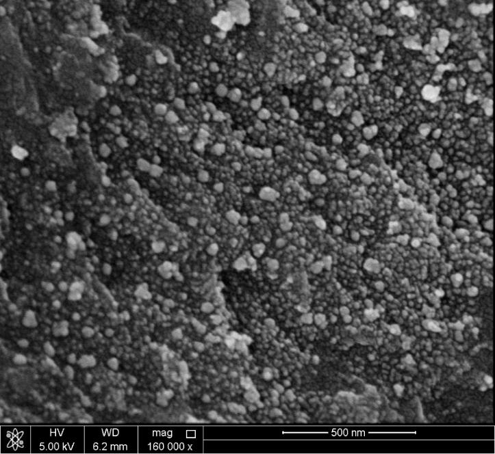Results and Discussions: Characterization of the catalyst. SEM Analyses. Shows the Ag and Pd nanoparticles distributed over the surface of activated carbon.