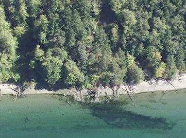 Unarmored-Drift logs SW Vashon Island Wood Distribution in Relation to Shoreline Armoring