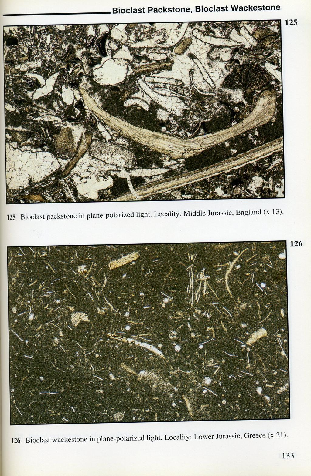 Carbonate Rocks in Thin Section PPL CaCO3