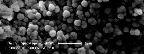 The resulting milky mixture was centrifuged to isolate a white solid that was suspended in water by sonication for electron microscopy analysis. Fig. 3.