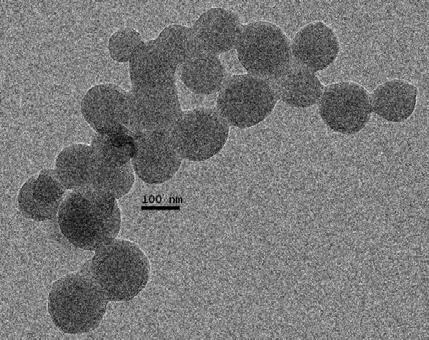 In case of Candellila wax, aggregation of the polymer nanospheres to microspheres was also found.