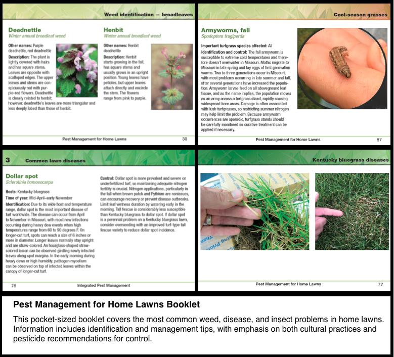 Pest Management for Home Lawns Booklet: Want a bit of MU expertise in your pocket when managing either your lawn or your client s?