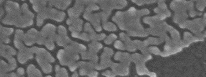 nanoparticles on Si
