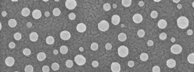 nanoparticles.