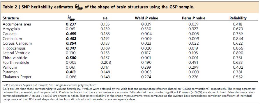 Truncated LBS heritability (GSP data) Before multiple comparisons correction: 7/1 brain structures are significant After multiple comparisons correction: 5/1 brain structures
