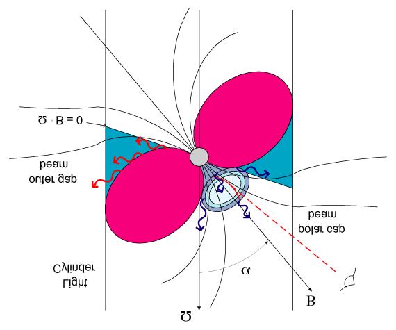 Pulsars: rotating neutron stars Neutron stars left