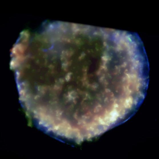 Supernova remnants as sources of cosmic rays * Cosmic rays are very energetic particles that come from interplanetary or interstellar space but what is their origin?