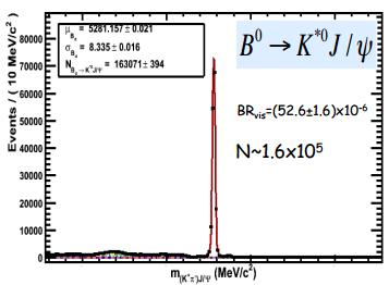 The LHCb calorimeter resolution Radiative Decays: The invariant mass resolution is